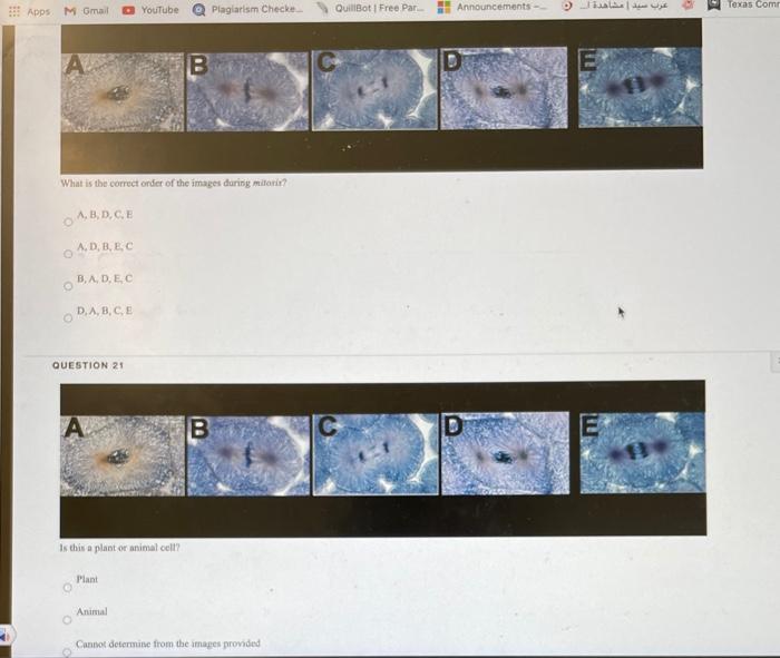 Image Result For E B E Ba E Bd A E B E B A E A E D E E E B E C E D E E E B B E F A E B E