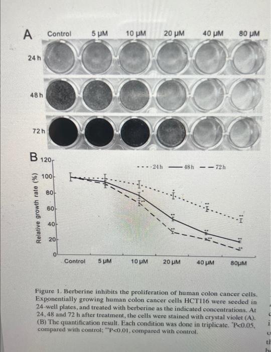 Solved Explain the results in detail based on the graph. | Chegg.com