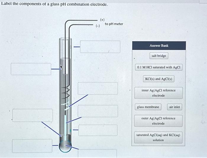 Solved Label the components of a glass pH combination | Chegg.com