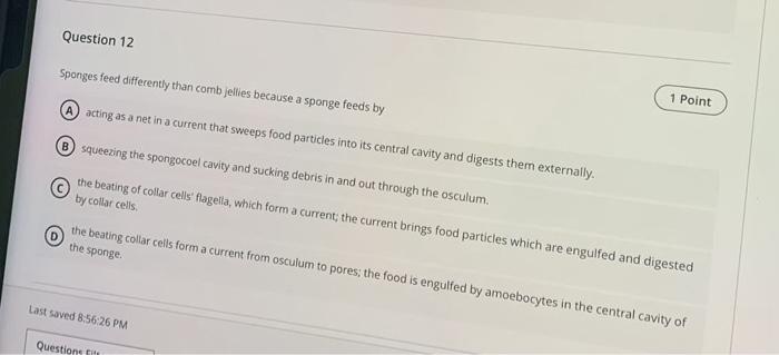 Solved Sponges feed differently than comb jellies because a | Chegg.com
