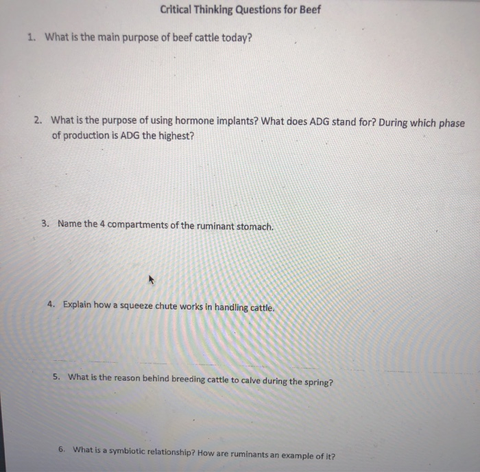 What Is The Main Purpose Of Beef Cattle