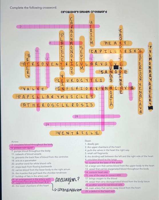 Solved Can someone help with whats in pink? the answers i | Chegg.com