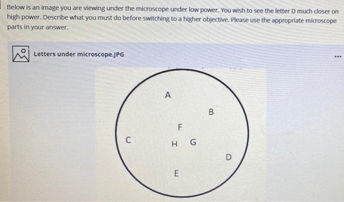 Solved Below is an image you are viewing under the | Chegg.com