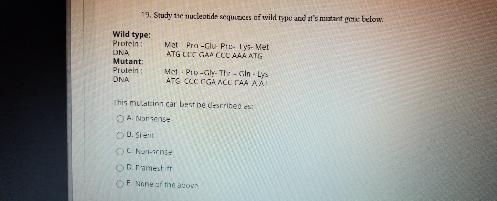 Solved 19. Study the nucleotide sequences of wild type and | Chegg.com