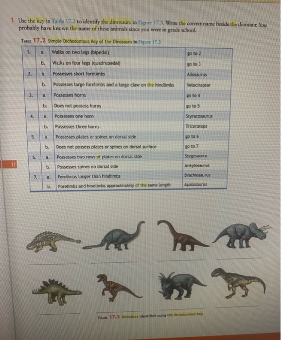 25+ dinosaur dichotomous key JardannaJimi