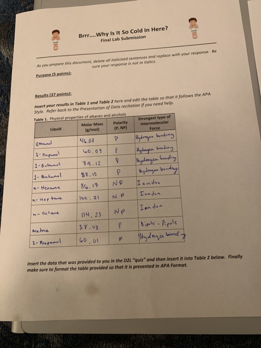 How Cold Is Too Cold For Labrador