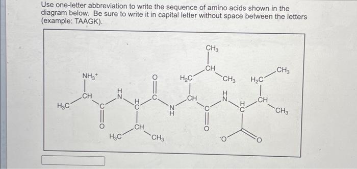 Solved The peptide below has a sequence of (use one letter | Chegg.com