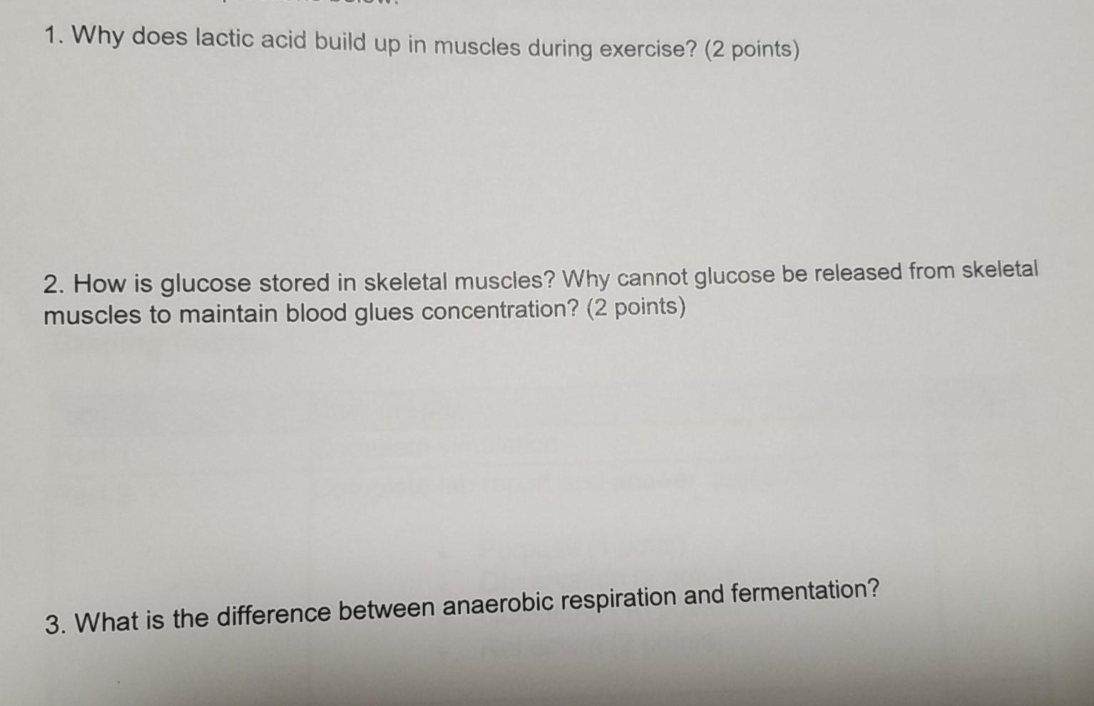 Solved 1. Why does lactic acid build up in muscles during | Chegg.com