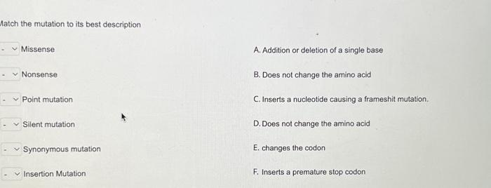 Solved Match the mutation to its best description Missense | Chegg.com