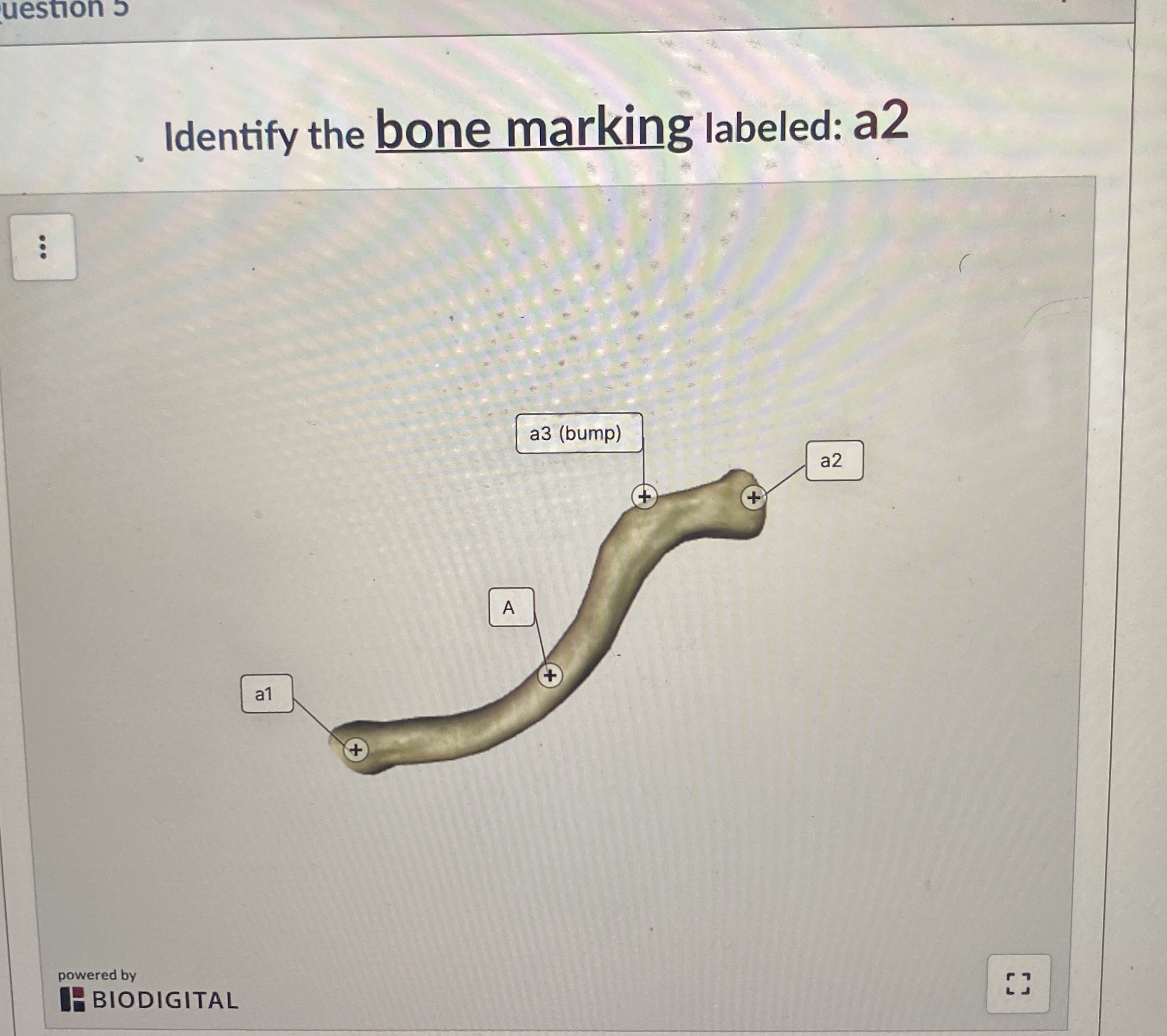 Solved Identify the bone marking labeled a2powered by