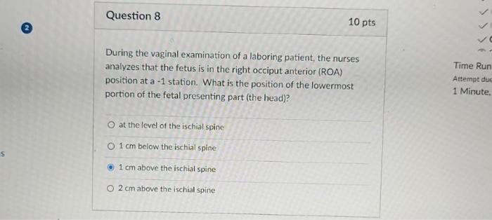 Solved During the vaginal examination of a laboring patient, | Chegg.com