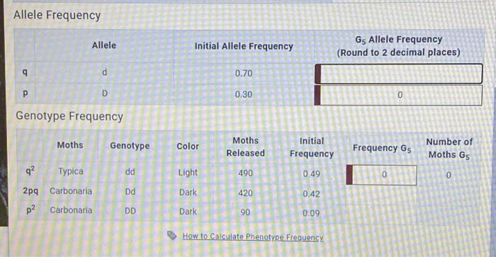 Mastering Genetics Calculate Allele Frequencies In 5 Generations - 0fbm3ns