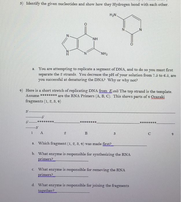 Solved 5) Identify The Given Nucleotides And Show How They | Chegg.com