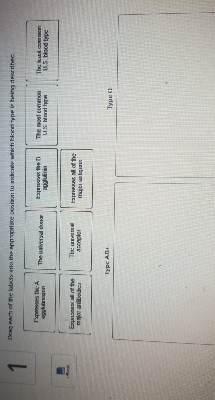 solved-1-drag-each-of-the-labels-into-the-appropriate-chegg