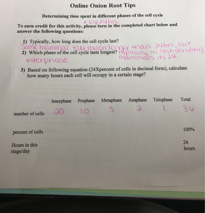 Solved Online Onion Root Tips Determining time spent in