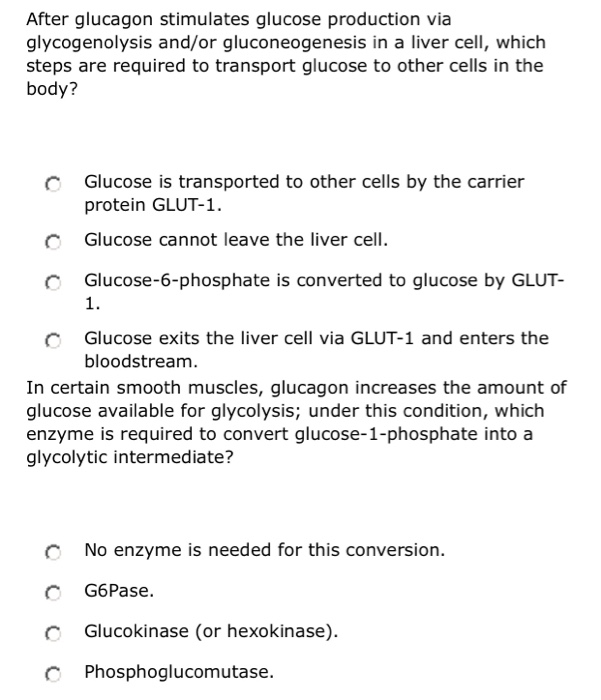 Solved After glucagon stimulates glucose production via | Chegg.com