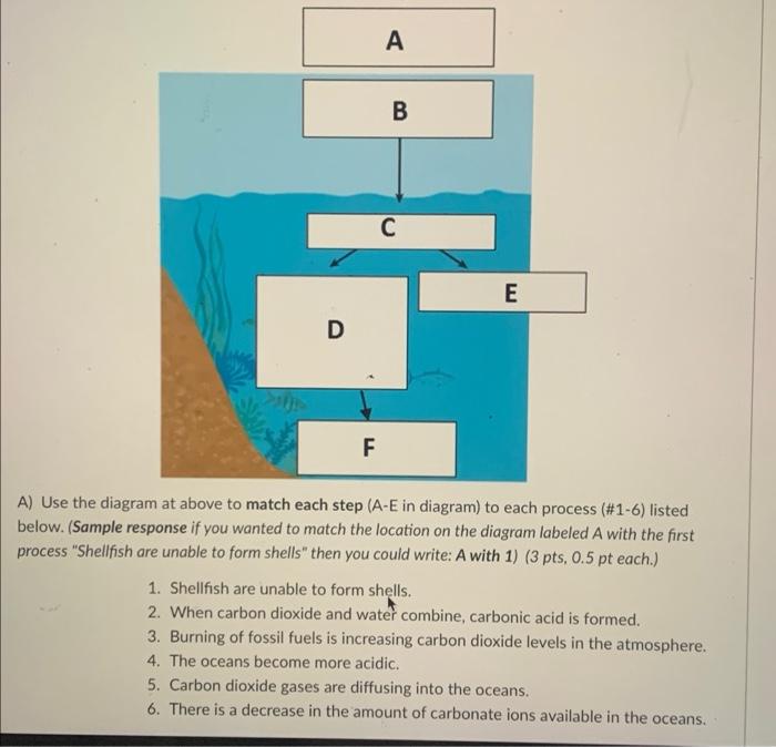 Solved A B C E D F A) Use the diagram at above to match each | Chegg.com