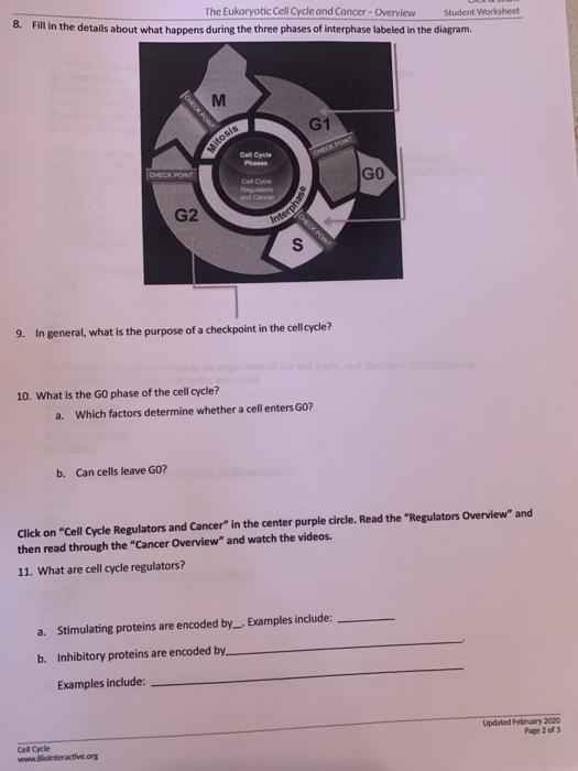 Solved The Eukaryotic Cell Cycle And Cancer Overview St Chegg Com