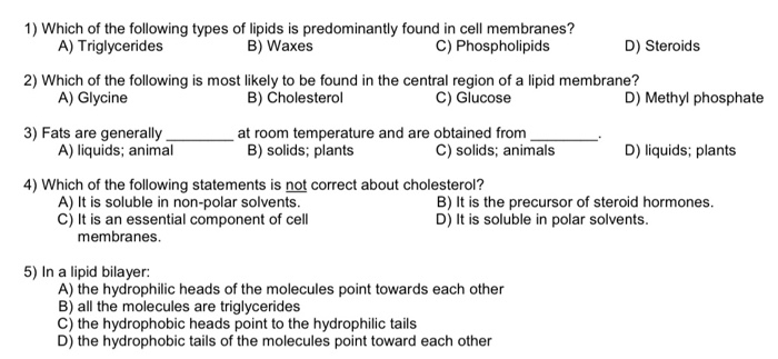 1 Which Of The Following Types Of Lipids Is Chegg Com