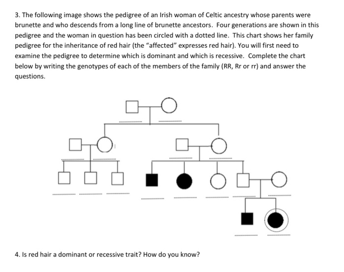 Solved EXERCISE 7: PEDIGREE ANALYSIS INTRODUCTION | Chegg.com