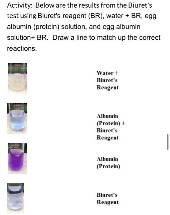 Solved Activity Below are the results from the Biuret's