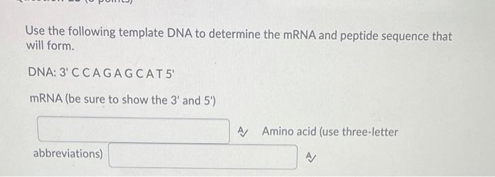 Solved Write the base sequence of the complementary strand | Chegg.com