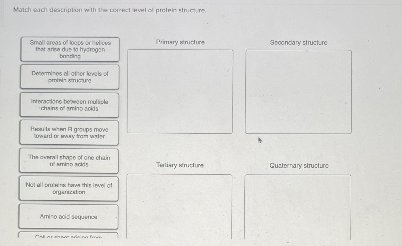 Solved Match each description with the correct level of | Chegg.com