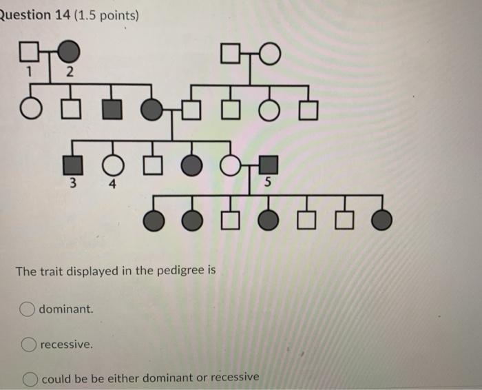 Solved Question 14 (1.5 points) GO 2 3 4 5 The trait | Chegg.com