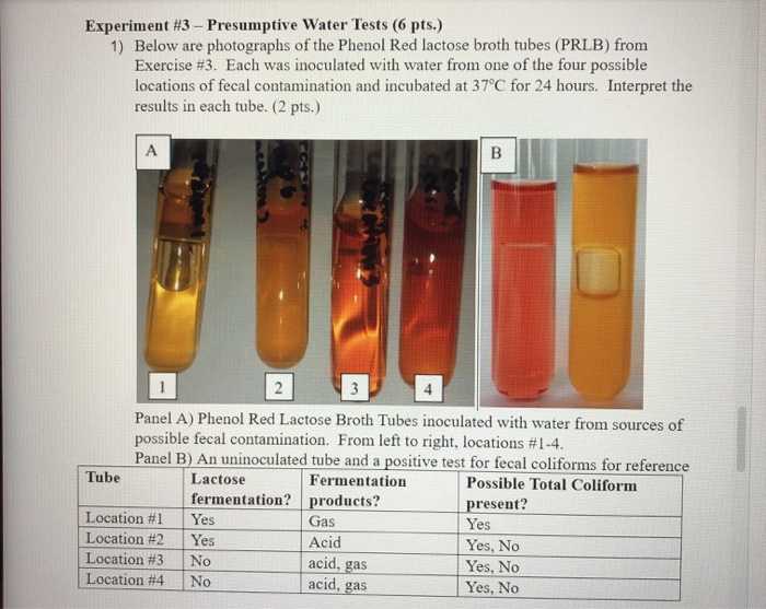 Does A Positive Presumptive Test Mean That The Water Is Absolutely Unsafe To Drink