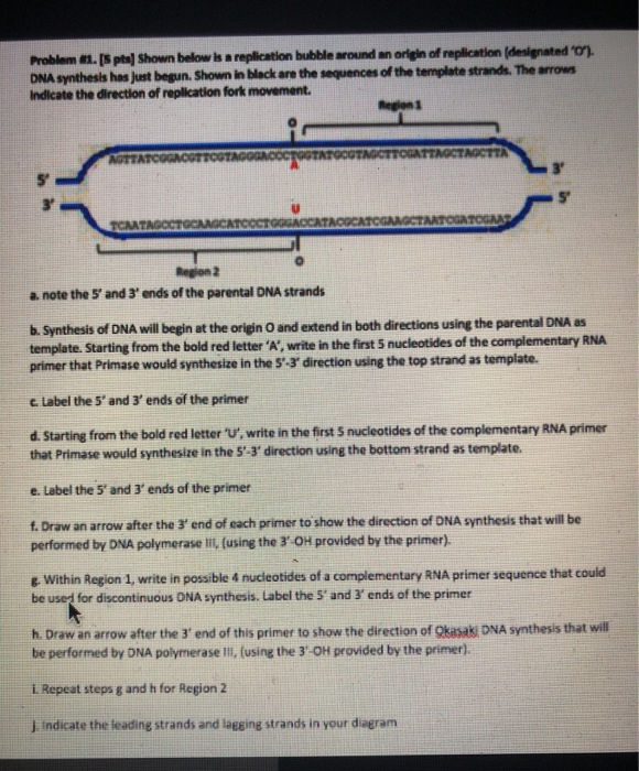 Solved Problem 11. (S pts) Shown below is a replication | Chegg.com