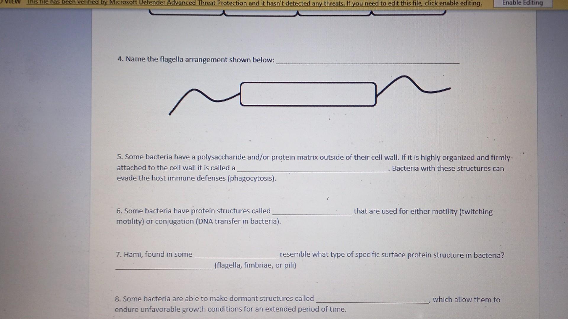 solved-chapter-2-cells-and-cell-structures-preclass-activity-chegg