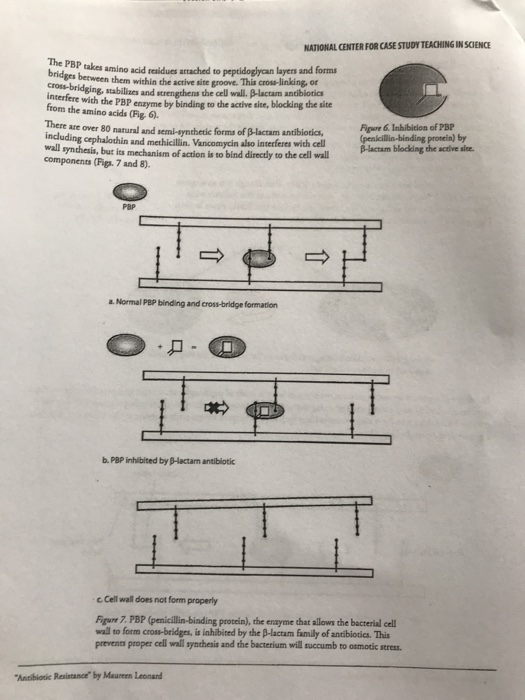 Antibiotic resistance case study high school image