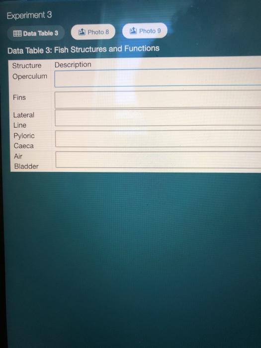 experiment 3 data table 9 solutions