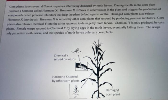 student submitted image, transcription available below