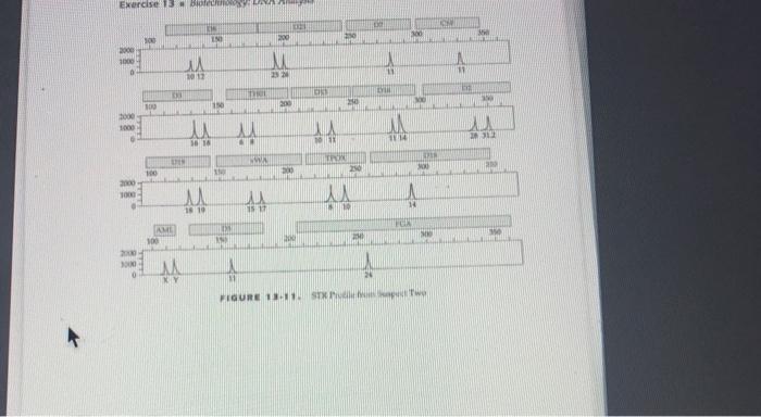 Solved SOLVING A CRIMINAL CASE USING STR EVIDENCE ACTIVITY + | Chegg.com