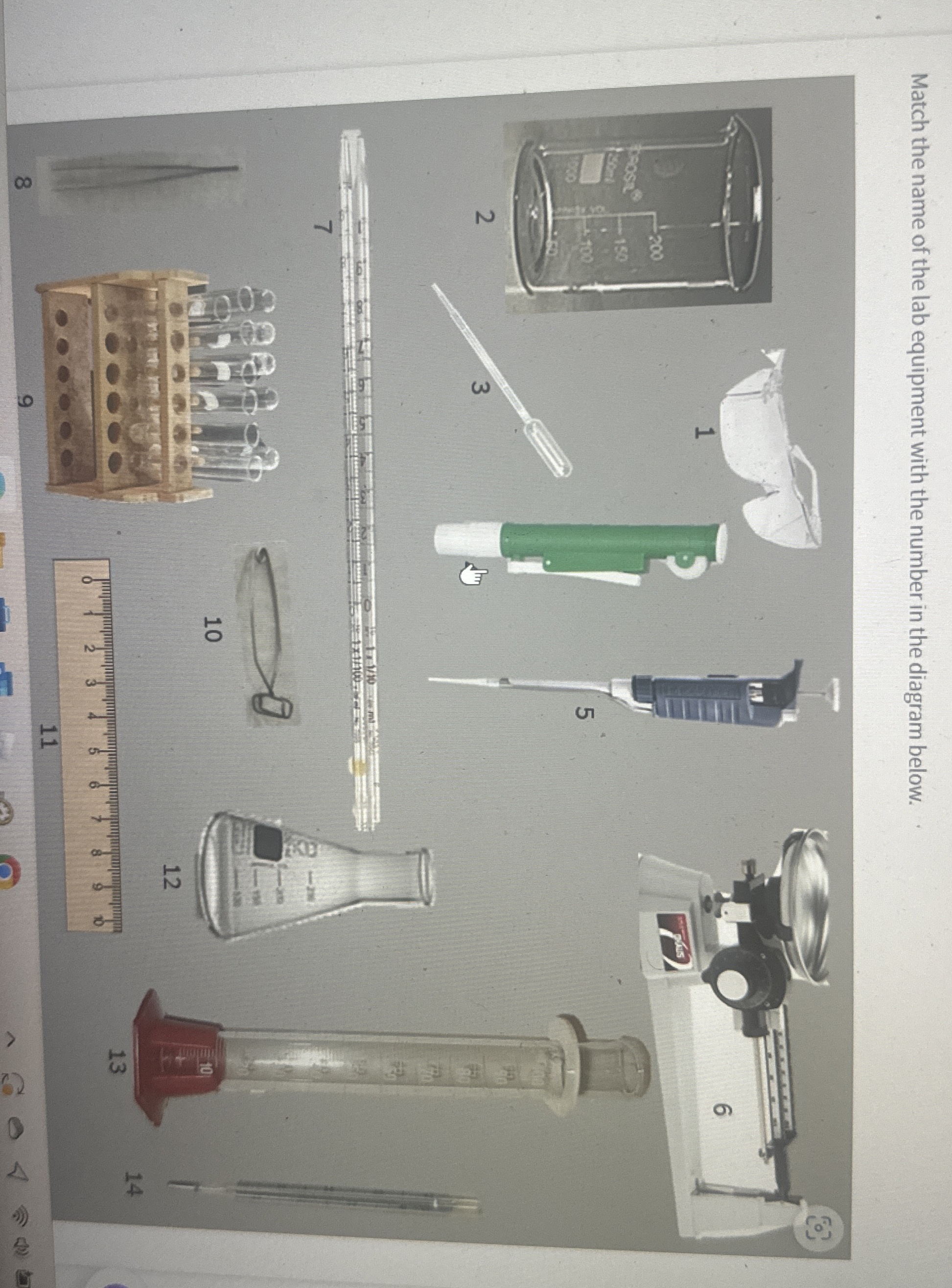 Solved Match the name of the lab equipment with the number | Chegg.com