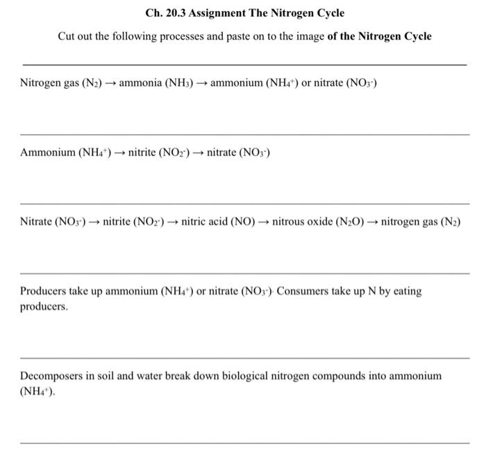 Solved The Nitrogen Cycle Atmospheric nitrogen (N2 gas) | Chegg.com
