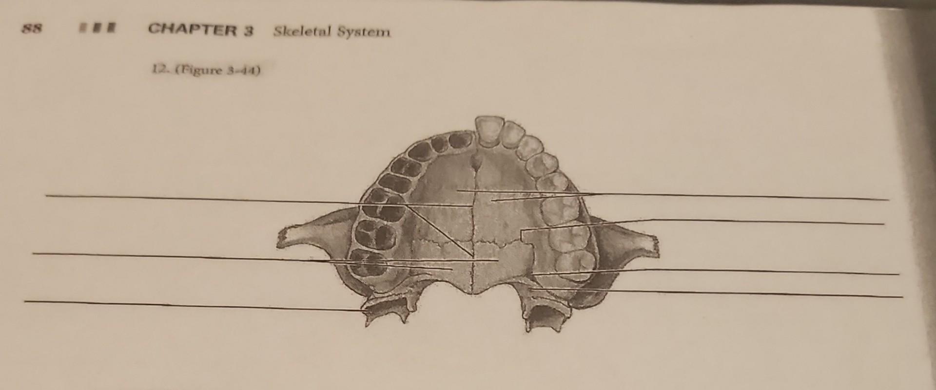 Solved Please help me label this figure, the lines are | Chegg.com