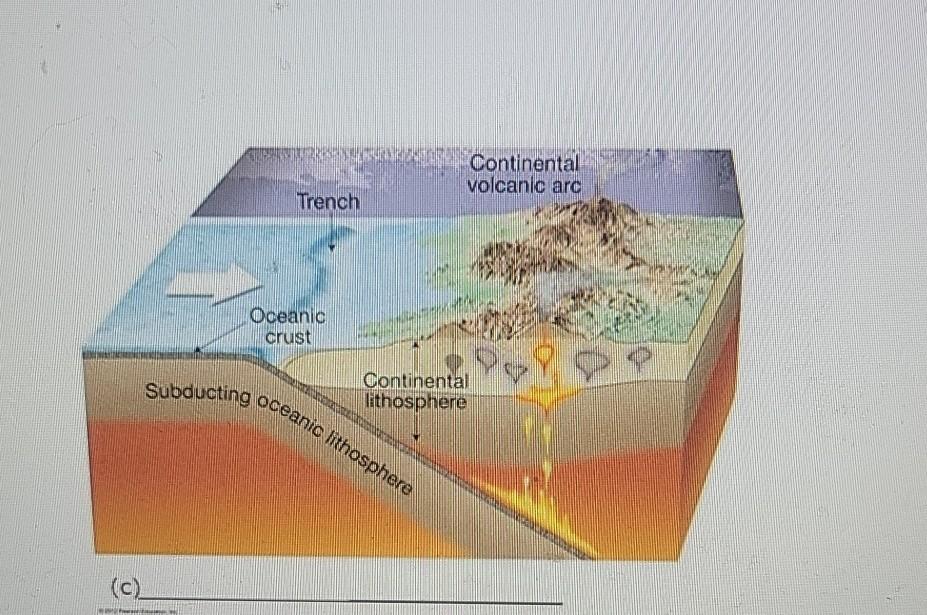 Solved 8) In the diagram below, match the letter of each | Chegg.com