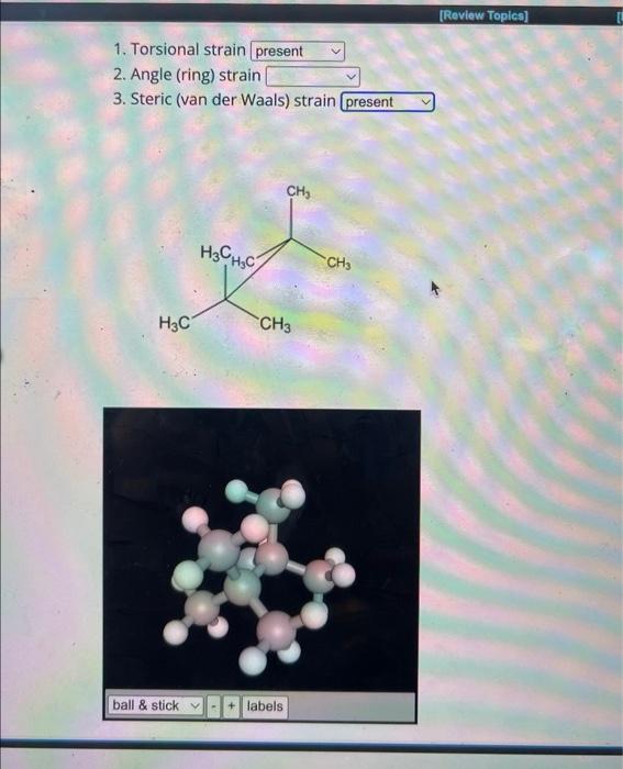 Solved 1. Torsional strain 2. Angle (ring) strain 3. Steric | Chegg.com