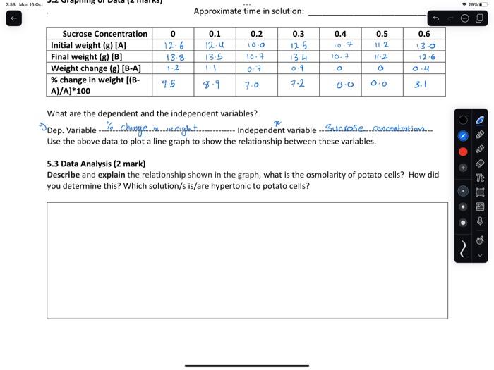 what is the osmolarity of potato cells? How did you
