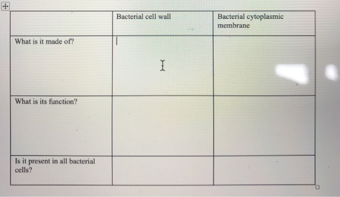 Solved Structures Of Bacterial Cells Chegg Com