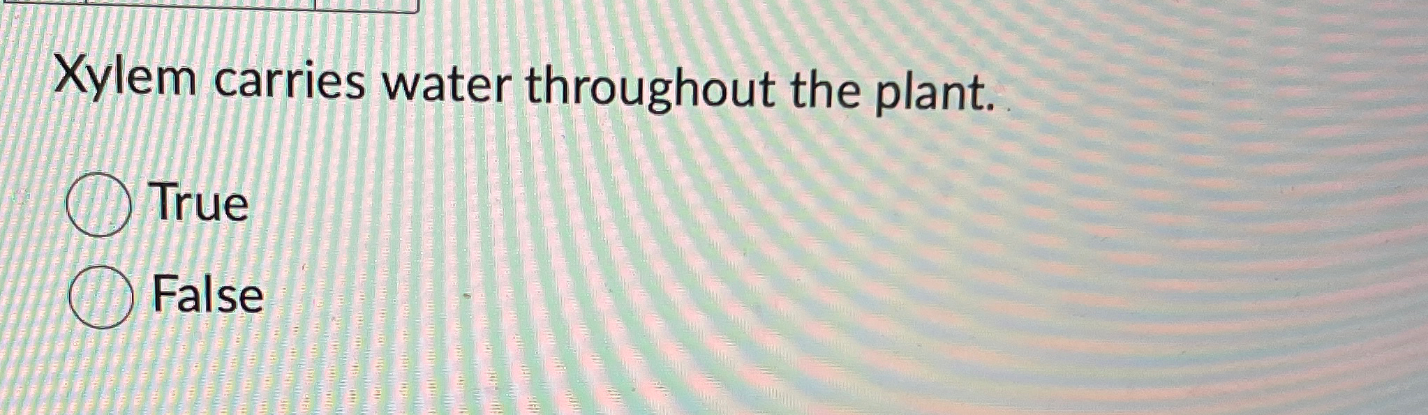 Solved Xylem carries water throughout the plant.TrueFalse