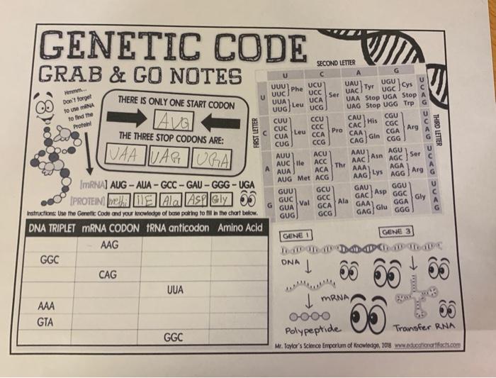 Genetic Code Grab Go Notes Second Letter There Is Chegg Com