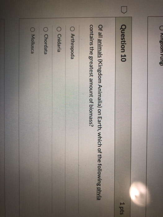 Solved U Kingdom Fungi Question 10 1 pts Of all animals