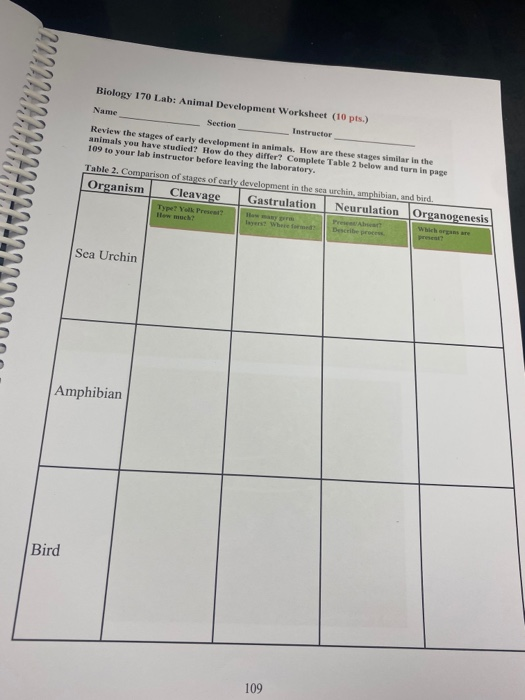 Solved Biology 170 Lab: Animal Development Worksheet (10 Solved Biology 170 Lab: Animal Development Worksheet (10