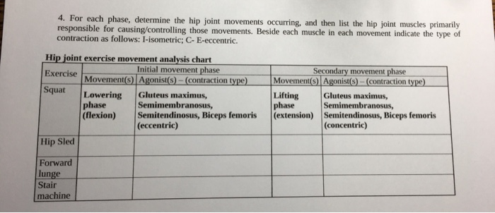 Hip Joint Movement Analysis Chart