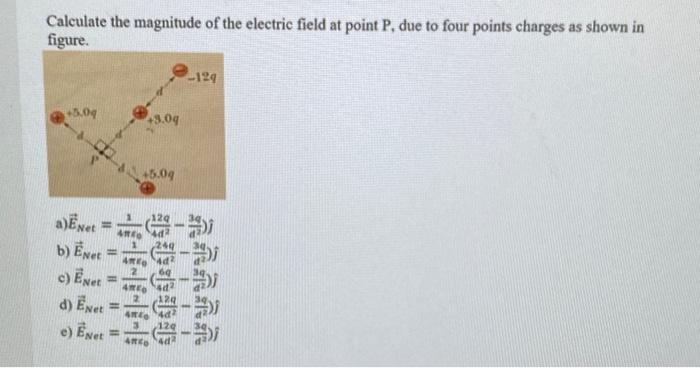 Solved Calculate the magnitude of the electric field at | Chegg.com