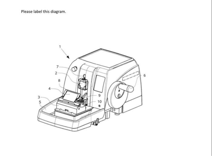 Solved Please label this diagram. | Chegg.com