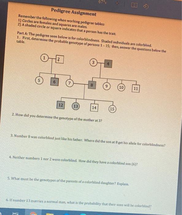 Solved Pedigree Assignment Remember the following when | Chegg.com
